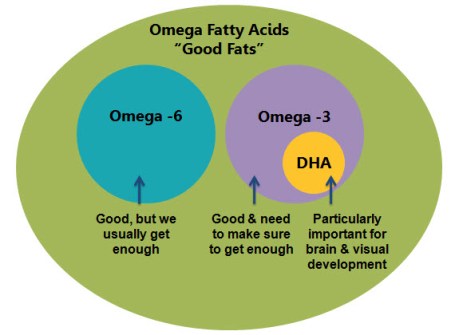 Omega Fatty Acids